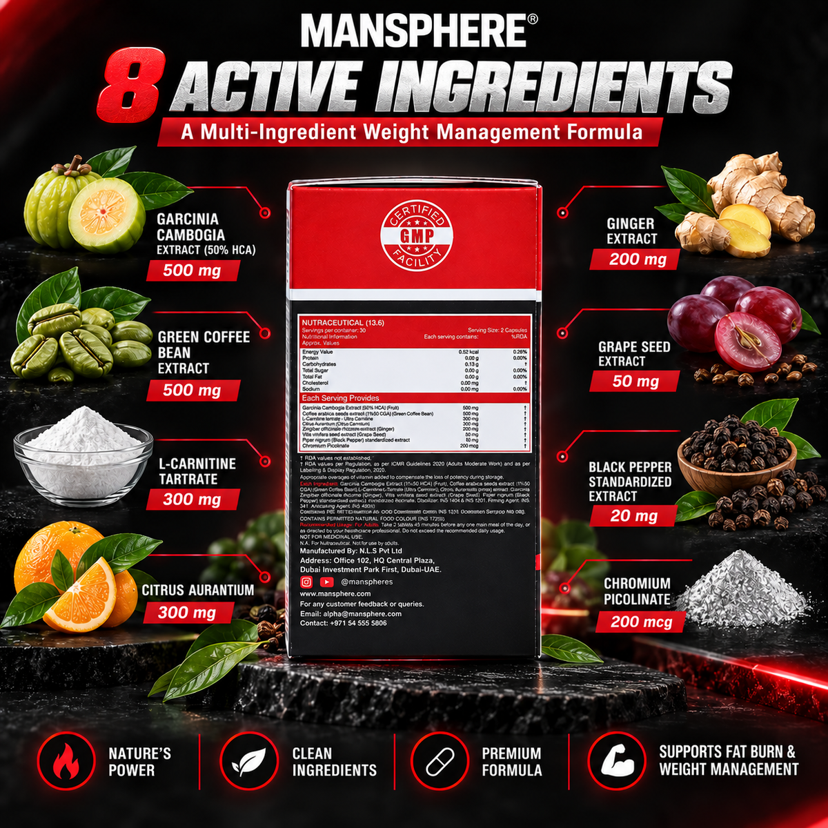 Mansphere Burner 8X Ripped Pro Burner – 8-in-1 Weight Management Support | 60 Tablets